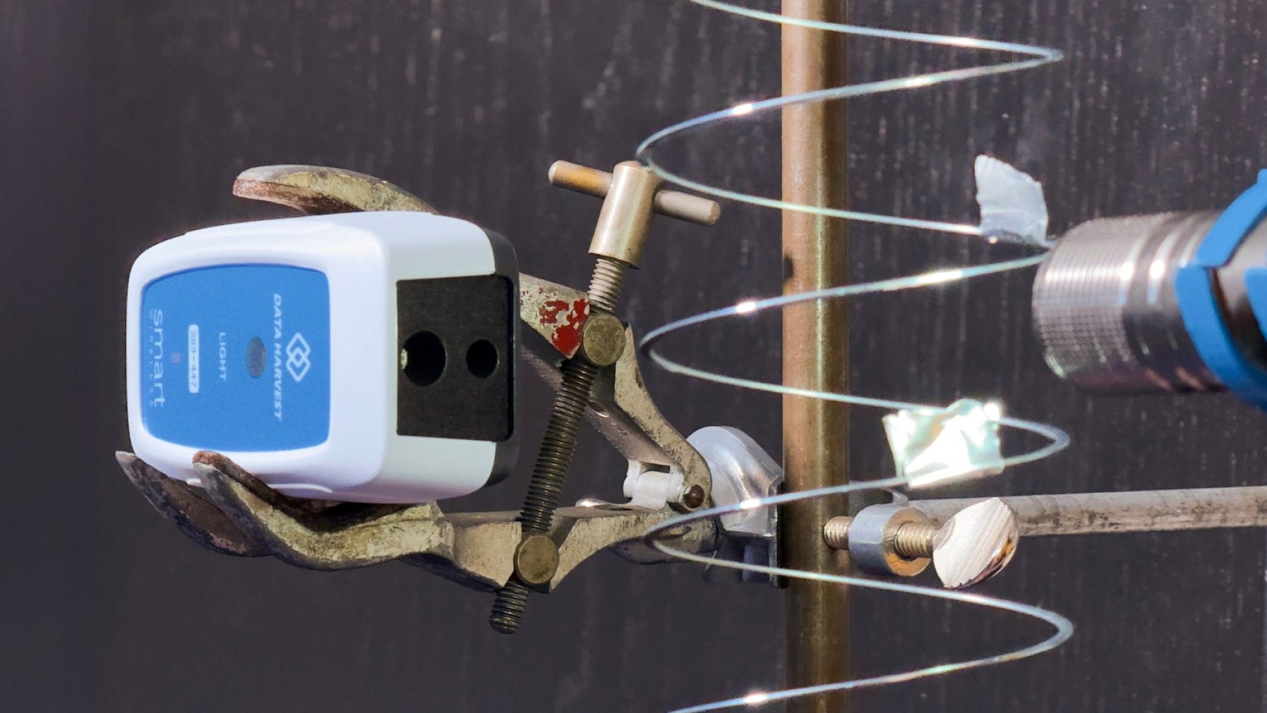 IMG_8228_A_optimized