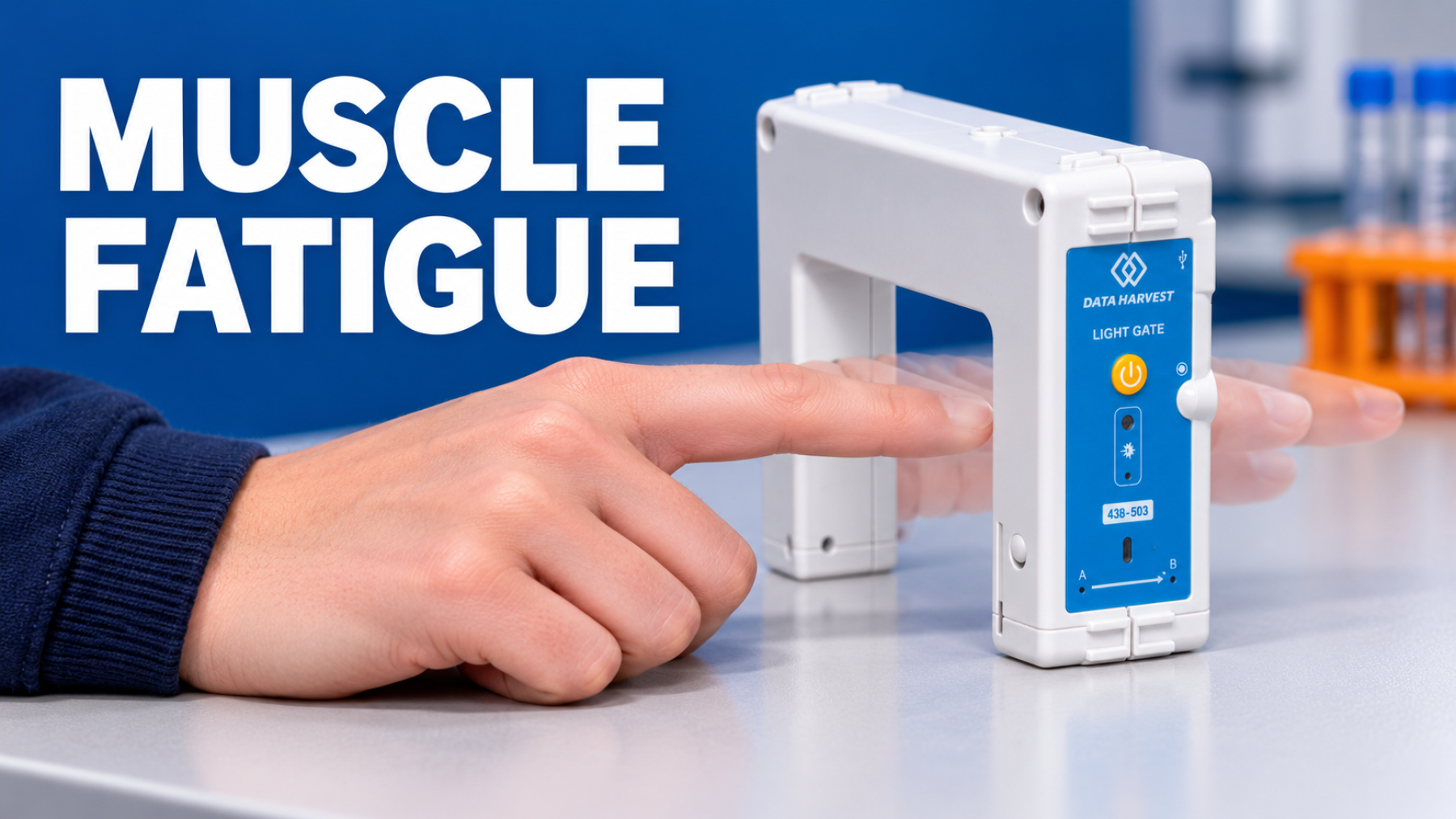 muscle fatigue light gate experiment